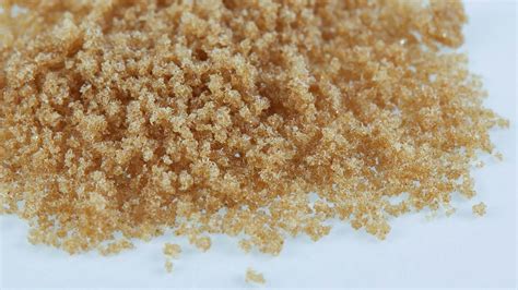 Processor’s Guide to Bubble Hash: Grades and Live vs. Dried