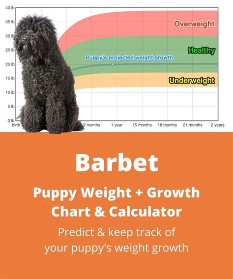 Barbet Weight+Growth Chart 2024 - How Heavy Will My Barbet Weigh? | The Goody Pet