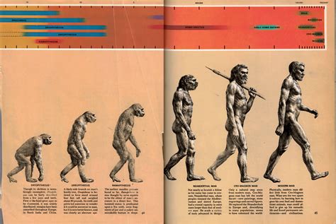 On the Origins of "The March of Progress" | Washington University ...