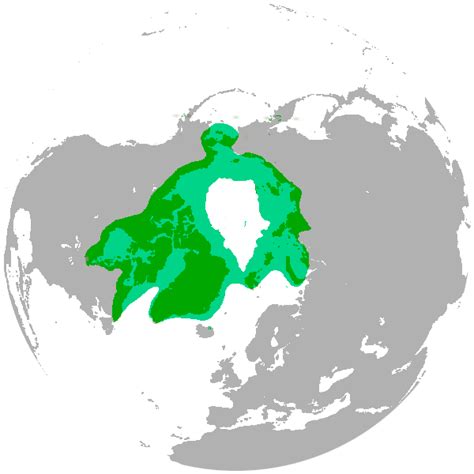 Where Do Polar Bears Live Map