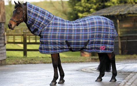 10 heavyweight stable rugs your horse will thank you for https://trib ...