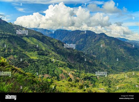 green mountains landscape, green mountains in colombia, latin america, palms and coffee in ...