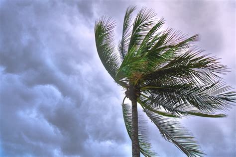 How High Wind Speed Can Impact Your Home Builds