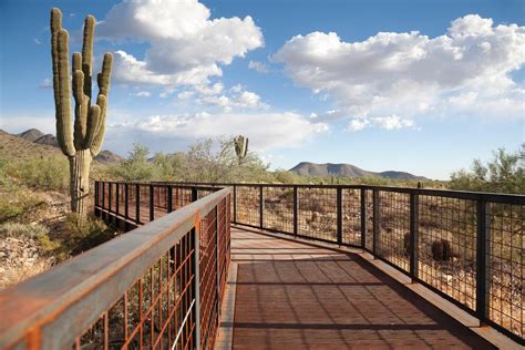 Hiking in Scottsdale: 7 Great Trails | Experience Scottsdale