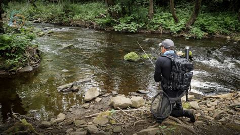 Best Wet Wading Shoes for Fly Fishing: Buyer’s Guide & Insider Tips