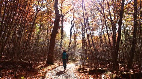 14 Beautiful Hikes in Shenandoah National Park for All Levels