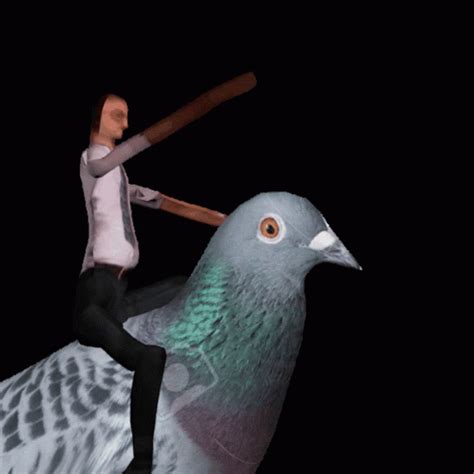 Pigeon Riding GIF – Pigeon Riding Bird – discover and share GIFs
