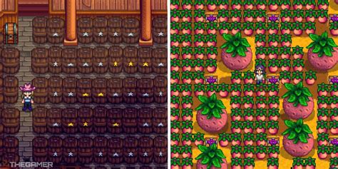 The Most Profitable Fruits To Turn Into Wine In Stardew Valley