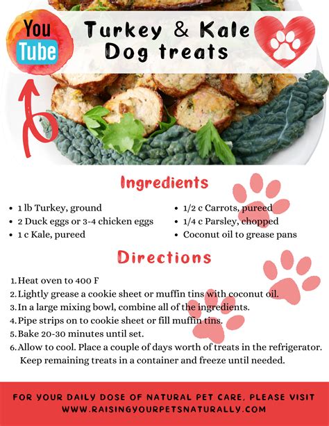 Healthy dog treat recipe for dog training treats – Artofit