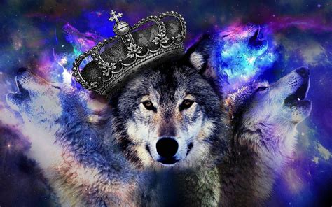 Red and Blue Wolf Wallpapers - Top Free Red and Blue Wolf Backgrounds - WallpaperAccess