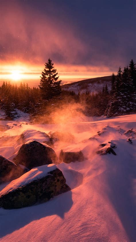 2160x3840 Winter Snow Sunset Sony Xperia X,XZ,Z5 Premium HD 4k Wallpapers, Images, Backgrounds ...