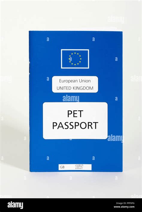 Pet passport uk hi-res stock photography and images - Alamy