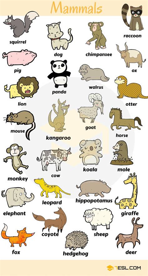 Lista De Animales En Ingles - Unpiro