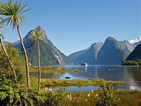 Discover New Zealand’s magnificent wonders & wildlife | NZ travel ...