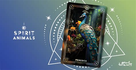 Peacock | Meaning & Significance | Spirit Animals Oracle Deck