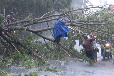 Warga Depok Diminta Waspada Banjir, Longsor dan Pohon Tumbang - MONITOR