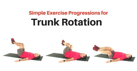 Simple Trunk Rotation Exercise Progression