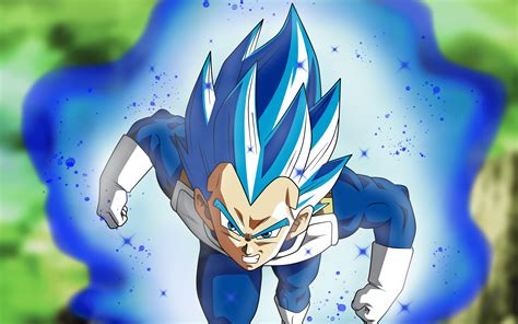 Vegeta Super Saiyan Blue Wallpapers - Top Free Vegeta Super Saiyan Blue Backgrounds ...