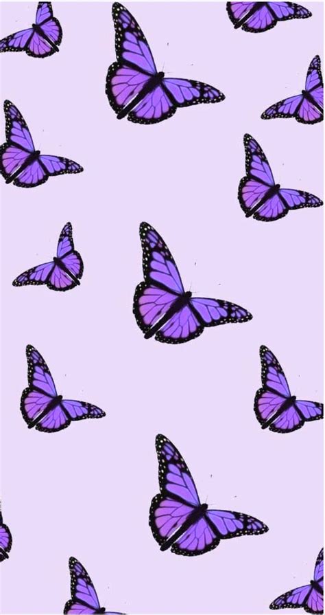 Purple butterfly aesthetic | Papel de parede roxo, Wallpapers roxos, Imagem de fundo para iphone