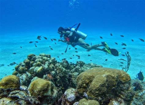 San Andrés Island: Personalized Mini Scuba Diving Course