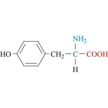 Tyrosine @ Chemistry Dictionary & Glossary