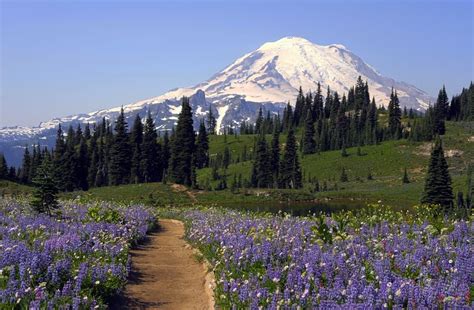 Top 20 Washington State Attractions You Just Cannot Miss | Things To Do in Washington ...