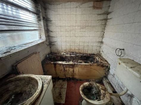 House on sale for £34k - with loo that makes Trainspotting toilet look good