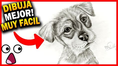 Animales Dibujos Realistas Para Dibujar c mo dibujar animales realistas ...