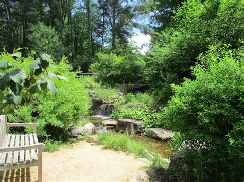 South Carolina Botanical Garden