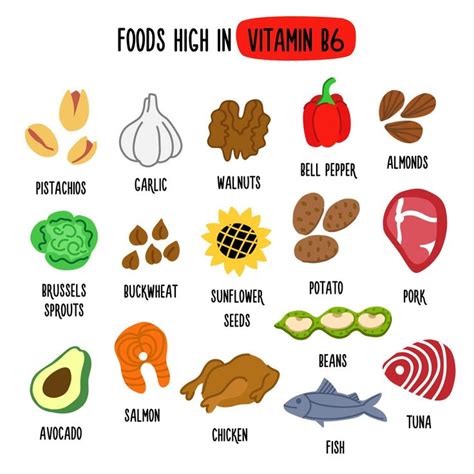 Foods High in vitamin B6. Vector illustration with healthy foods rich in vitamin B6. Organic ...