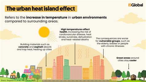 Planting More Trees in Cities Would Save Thousands of Lives, Scientists ...