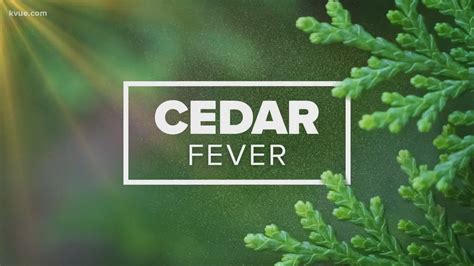 Cedar fever, the flu or COVID-19? Explaining the differences in ...