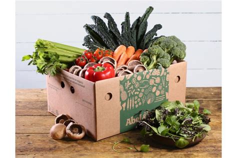 9 best vegetable delivery box services for summer 2019