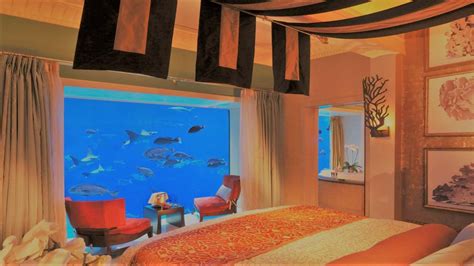 What is the cheapest underwater hotel? 5 distinctive underwater hotels ...