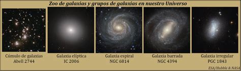 Galaxias con dos barras: sorprendentes, comunes… ¡y puede que ...