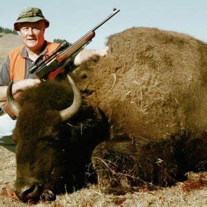 Montana Bison Hunting | AfricaHunting.com