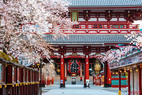 Matteo Colombo Travel Photography | Sensoji temple and cherry trees ...