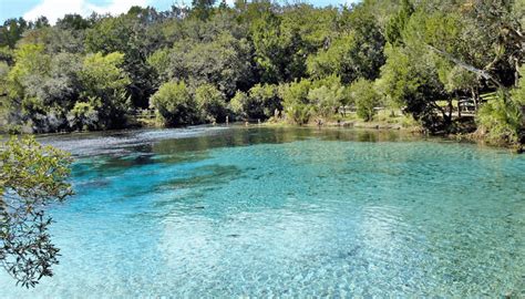 Worth Visiting, Worth Protecting - Silver Glen Springs Recreation Area, Florida | Traxplorio