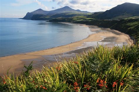 Porth Nefyn Beach - Photo "Montbretia covering the cliff top in Summer ...