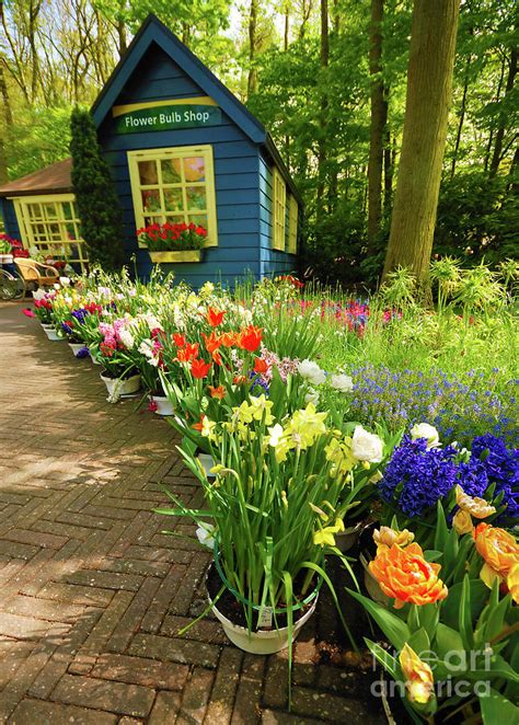 Keukenhof park Photograph by Olena Mykhaylova - Pixels