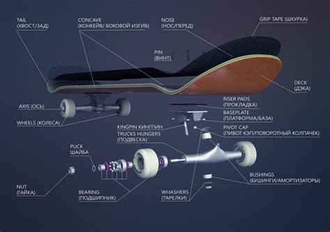 skateboard parts | CGTrader