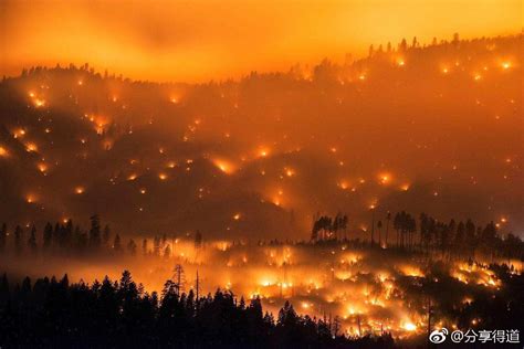 科學 | 森林大火對森林有好處嗎？ - ITW01