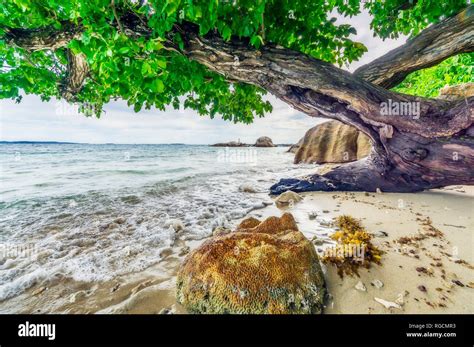 Indonesia, Riau Islands, Bintan, beach Stock Photo - Alamy