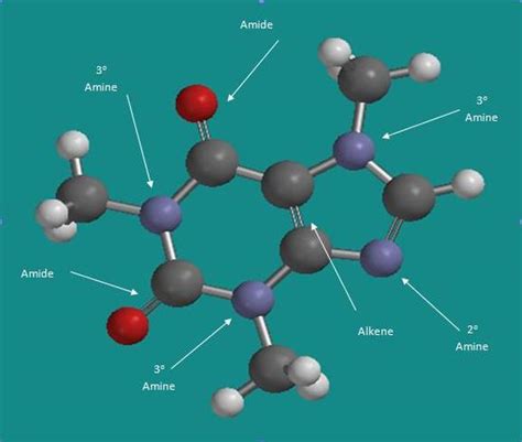 The Caffeine Molecule - The Buzz About Caffeine