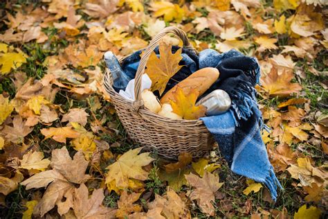 Autumn picnic in park 731948 Stock Photo at Vecteezy