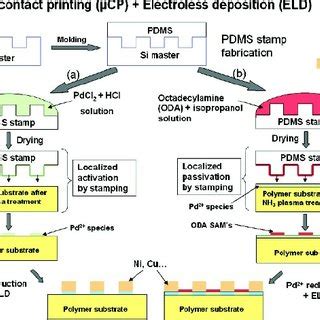 Schematic diagram of the electroless Ni plating process. | Download Scientific Diagram