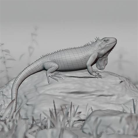 3D Realistic Iguana Game Ready Model - TurboSquid 1834053