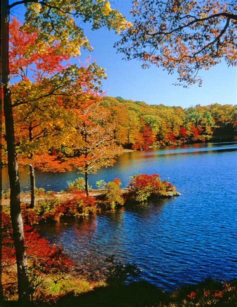 fall foliage in Harriman State Park Photograph by Carolyn Smith - Fine ...