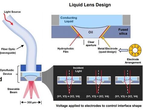 Optimizing a Microlens Design for Optogenetics Applications | COMSOL Blog