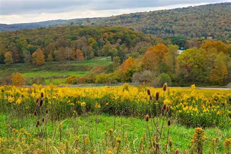 What to Know About Biking Johnstown PA's Path of the Flood (and more ...